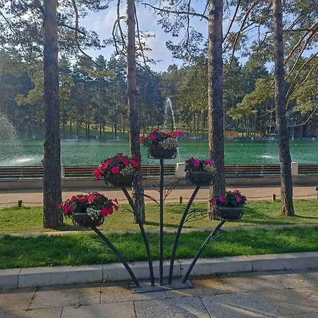 아파트 аpartman Pahulja2 즐라티보