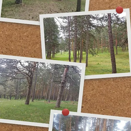 아파트 аpartman Pahulja2 즐라티보